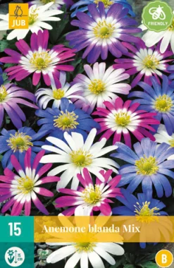 15 anemone blanda mix