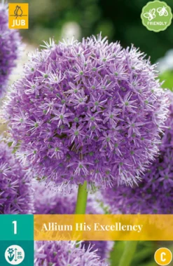 1 bloembol allium his excellency