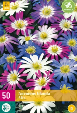 50 bloembollen anemone blanda mix