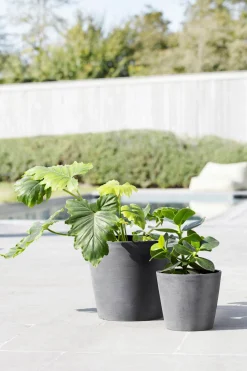 Amsterdam 20cm grijs met waterreservoir