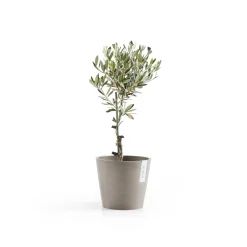 Amsterdam 20cm taupe met waterreservoir