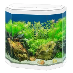 Aquarium aqua 30 led