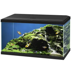 Aquarium aqua 60 led bio cf150