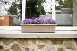 Balkonbak Super 80 cm Taupe