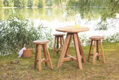 Bartafel Castle rond