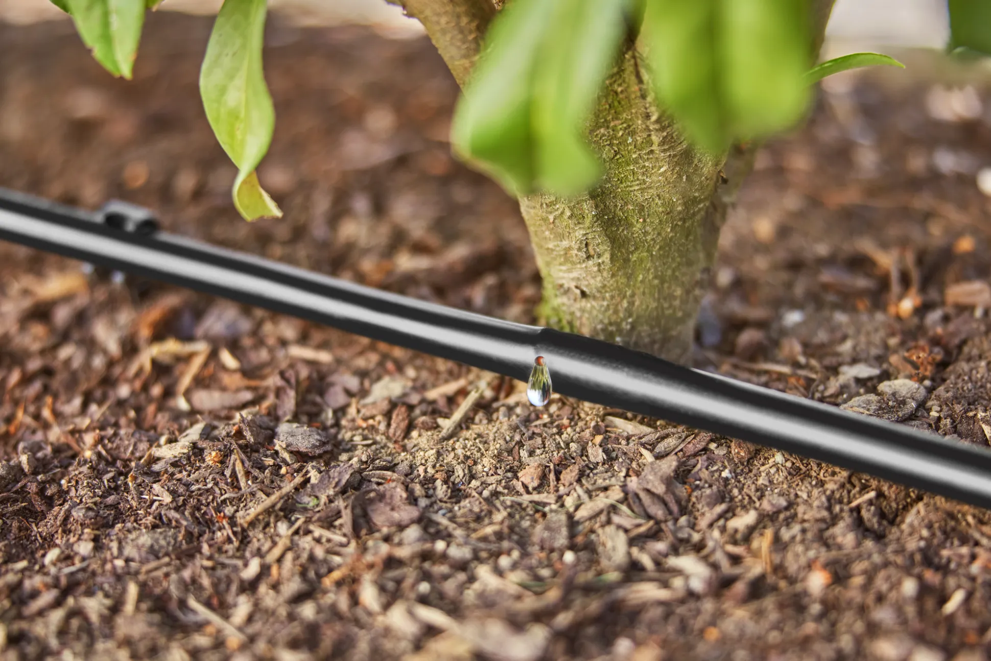 Bewatering heggen of struiken set