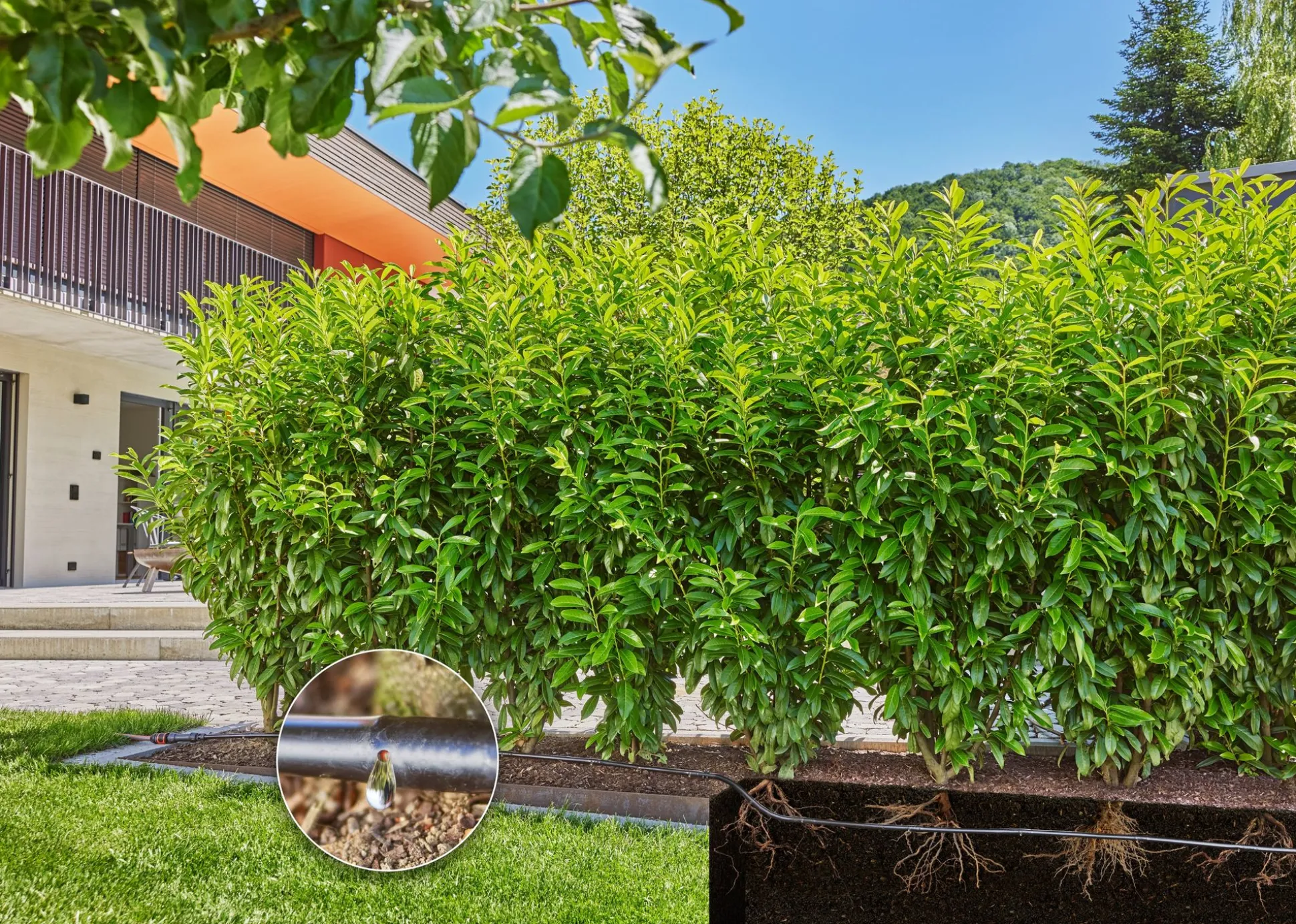 Bewatering heggen of struiken set 25m