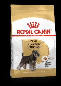 Bhn miniature schnauzer 3kg