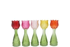 Bicolore tulp vaas 7x18