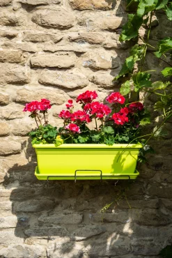 Bloembak relax 60x20h16 lime