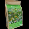 Bloemenmengsel voor multicolore 50m²