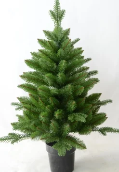 Boom in pot 60 x 90cm