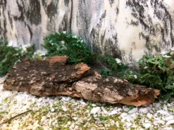 Boomschors kurk 12x18cm