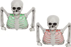 Buste skeleton
