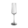 Champagneglas 24cl ray - set/4