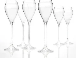 Champagneglas cuvée - set van 6