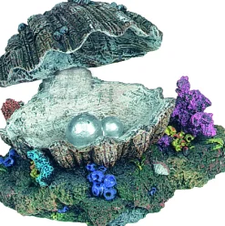 Decoratie schelp (beweging)