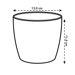 Diamond orchidee 12,5cm