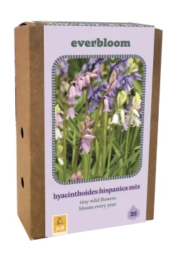 Doos 'everbloom' met 25 bloembollen hyacinthoides hisp. mix