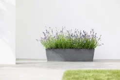 ECOPOTS BRUGES 55CM, GRS