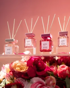 Essentials Light & Pure Rose 2x50ml