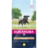 Euk dog developing junior large breed