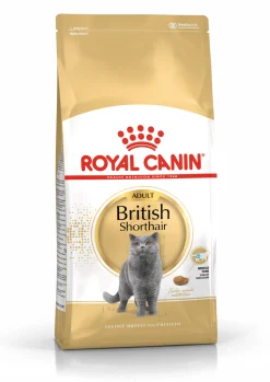Fbn british shorthair 10kg