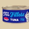 Filets tonijn 70g