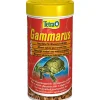 Gammarus