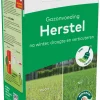 Gazonvoeding Herstel