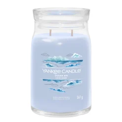 Geurkaars ocean air l jar