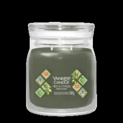 Geurkaars olive & cypress garden medium