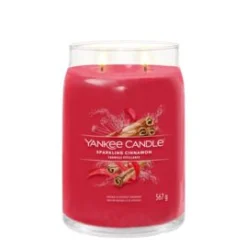 Geurkaars sparkling cinna l jar