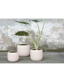 Glazed shades Sierpot costa l21xb21xh21 roze