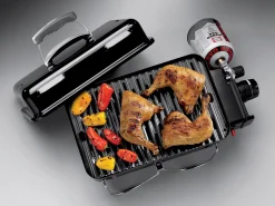 Go-anywhere gasversie