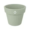 Green basics top planter