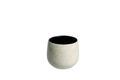 GR.ORCH.POT D18 ORIGIN CRÈME