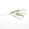 Grote eucalyptus tak 90cm goud