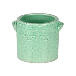 Grote orchidee pot dune