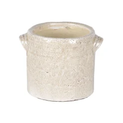 Grote orchidee pot dune