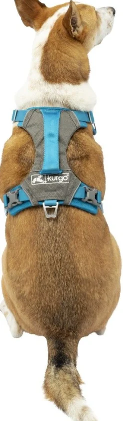 Harnas kurgo journey air tuigje bl-l