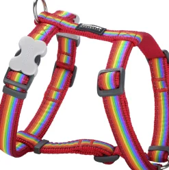 Harnas rd rainbow -m