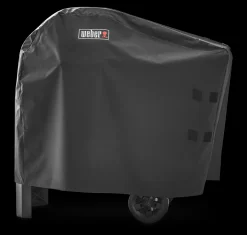 Hoes voor Spirit II E-310 modellen