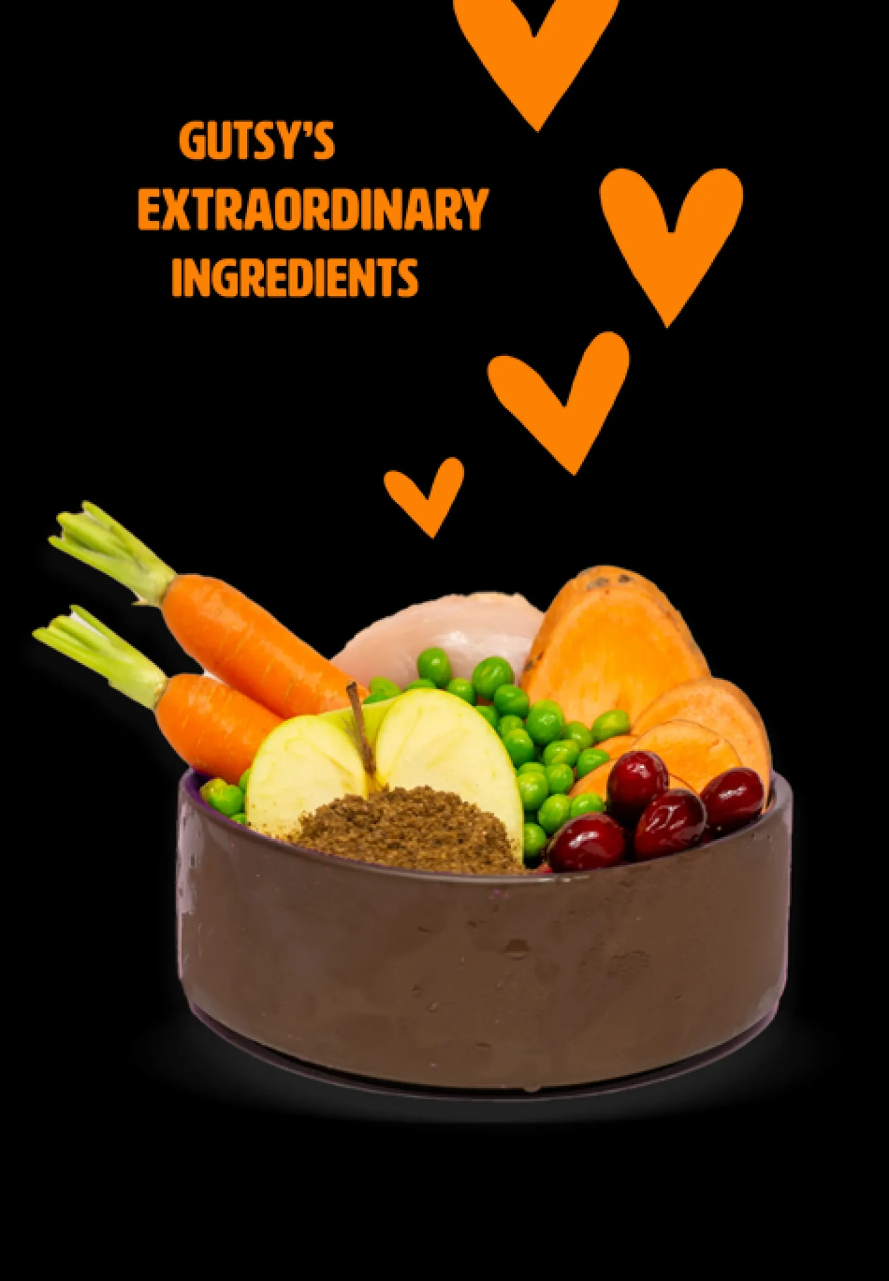 Hondenbrokken kip en insect 2kg puppy