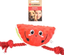 Hondenspeeltje bubto watermeloen met touw