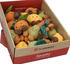 Hondenspeeltje citri fruit s