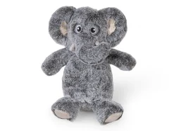 Hondenspeeltje: lolli