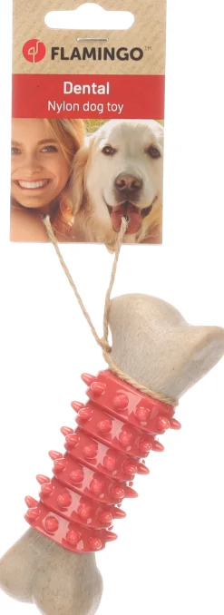 Hondenspeeltje nyra been s