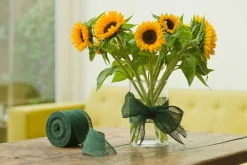 Juteband h10cmx25m groen 220g/m²