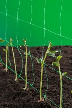 Klim-groei-geleidenet 2x5m groen